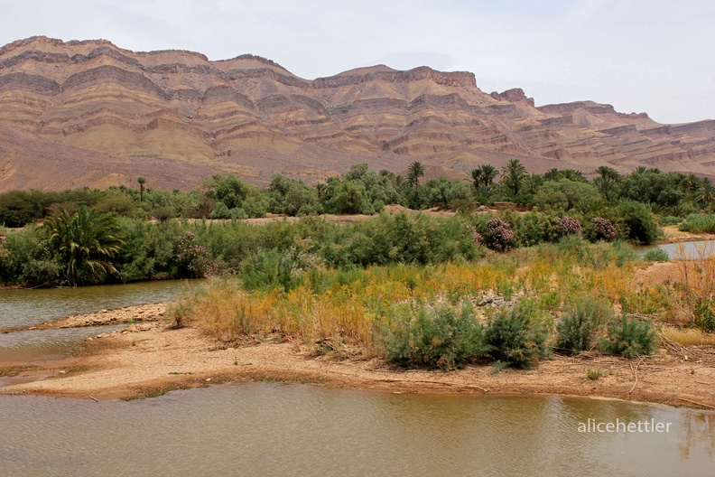 Vallée du Drâa